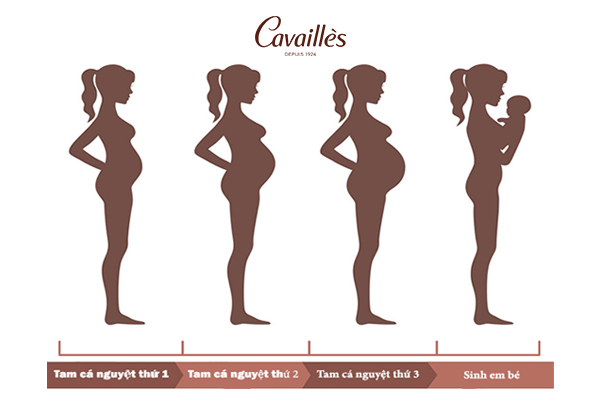 Cách xử lý ngứa vùng kín cho bà bầu tại nhà