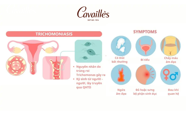 Cơ chế gây bệnh và triệu chứng