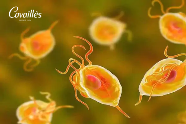 Nguyên nhân gây khí hư màu xanh