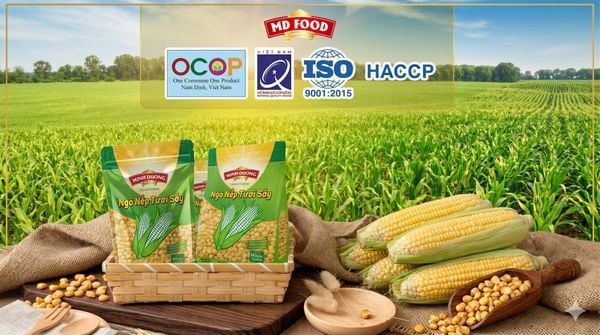 Ngô nếp tươi sấy MD Food - món quà nông sản Việt