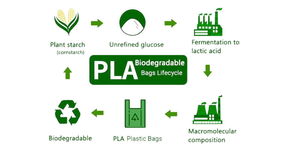 Nhựa PLA là gì? Đặc tính, ứng dụng và so sánh chi tiết trong in 3D Nhựa PLA là gì? Đặc tính, ứng dụng và so sánh chi tiết trong in 3D
