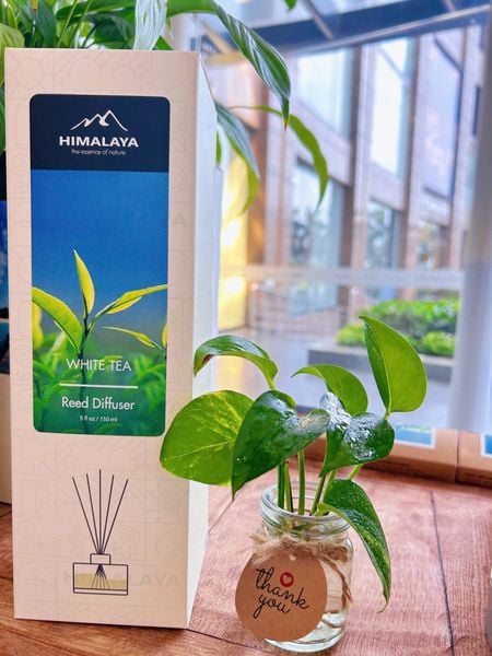 Ngày xanh thứ 4 hằng tuần