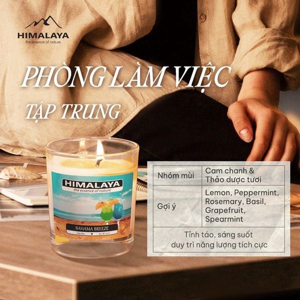 cách chọn mùi hương cho phòng làm việc