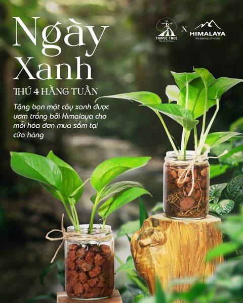 Ngày xanh thứ 4 hằng tuần