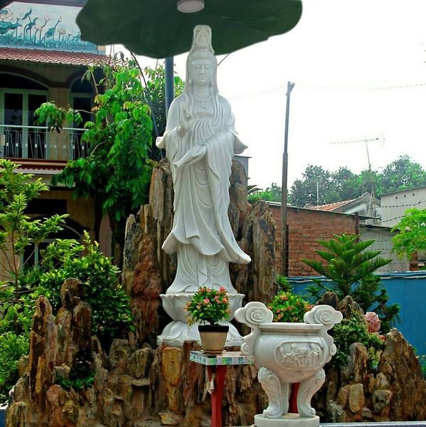 Hình ảnh bài viết