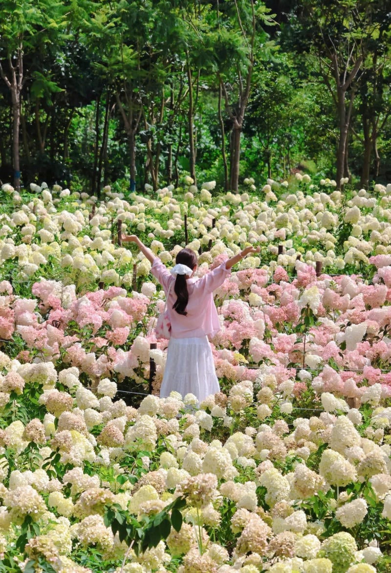 Chụp từ phía sau lưng, hướng mắt về phía vườn hoa