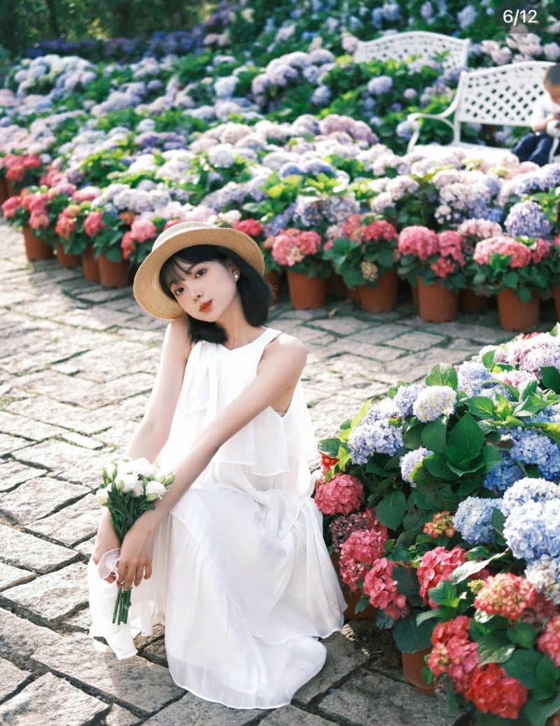 Ngồi xuống bên cạnh một bụi hoa rực rỡ