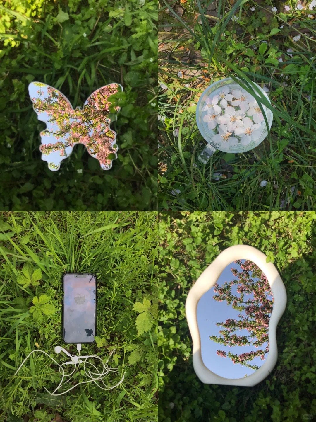 Soi gương giữa đồng cỏ