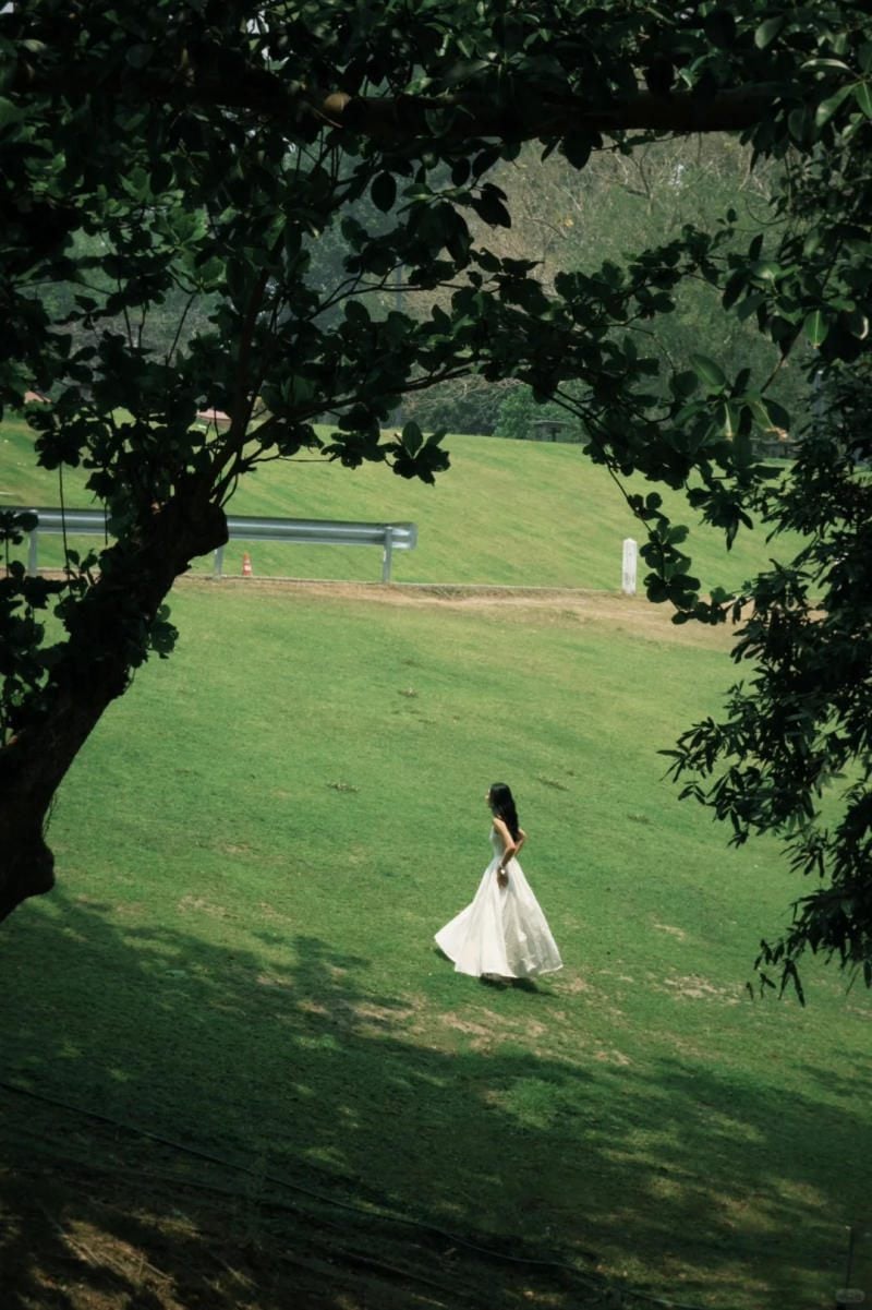 Chạy về phía mặt trời