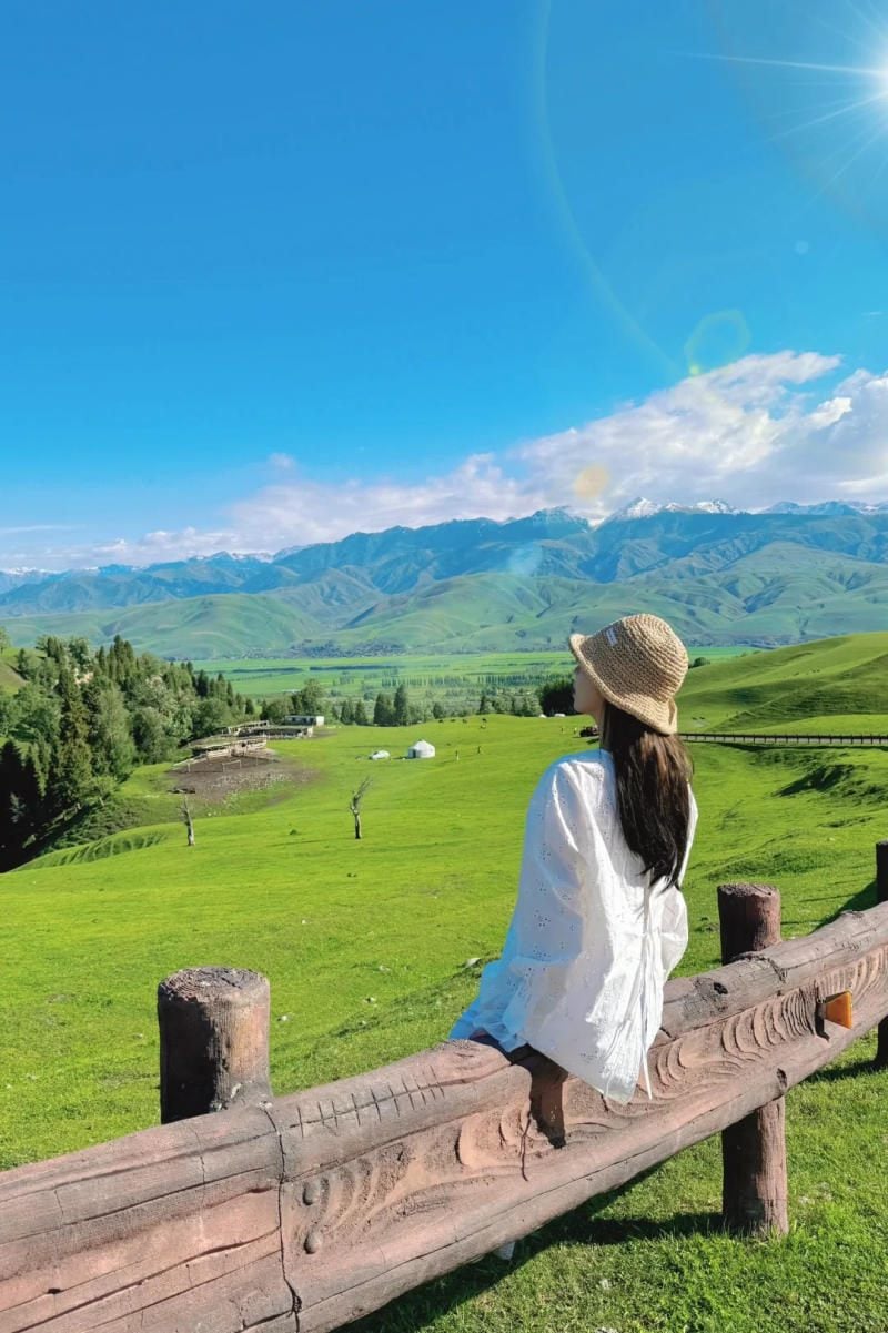 Back view (Chụp từ sau lưng)