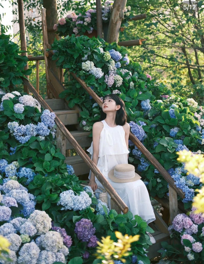 Ngồi xuống bên cạnh một bụi hoa rực rỡ