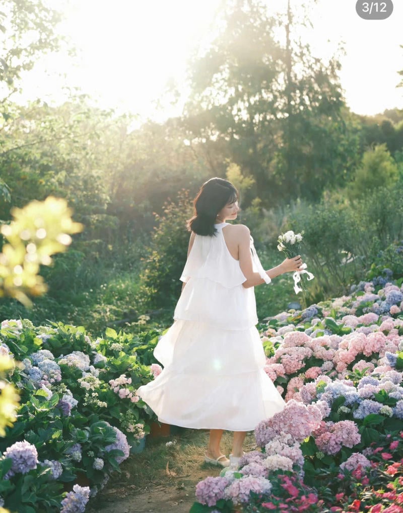 Xoay váy nhẹ nhàng giữa vườn hoa