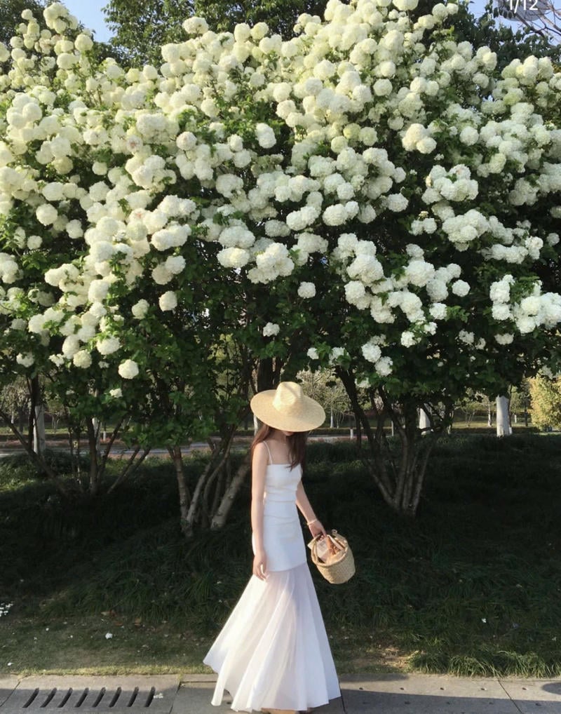 Xoay váy nhẹ nhàng giữa vườn hoa