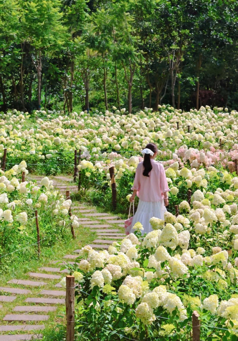 Bước đi thong dong giữa lối đi