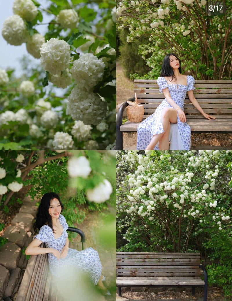 Ngồi xuống bên cạnh một bụi hoa rực rỡ