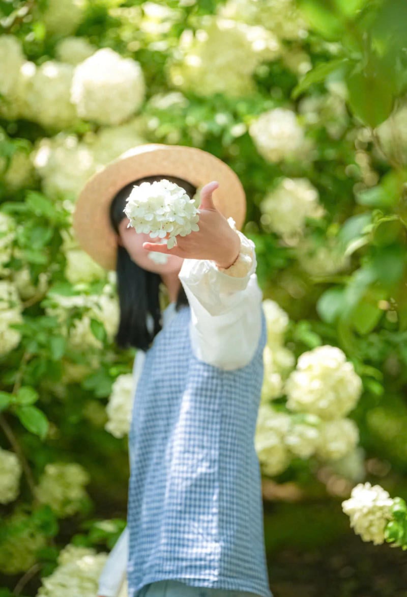 Thời điểm và ánh sáng vàng để chụp ảnh