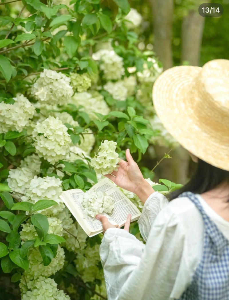 Nhẹ nhàng chạm tay vào hoa