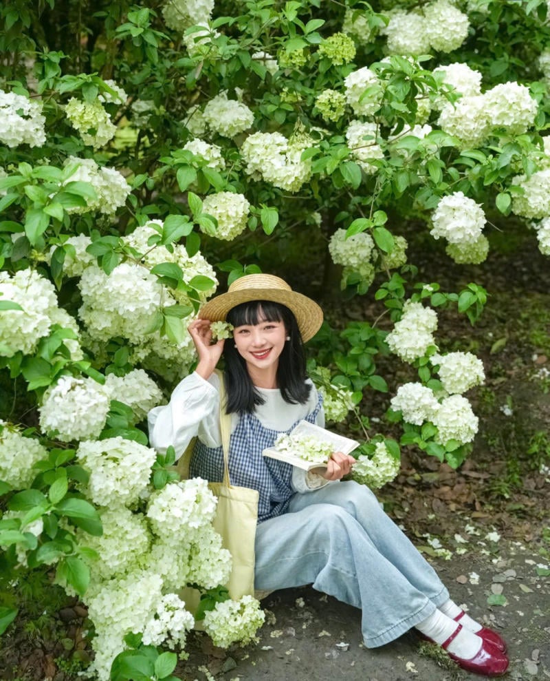 Ngồi xuống bên cạnh một bụi hoa rực rỡ