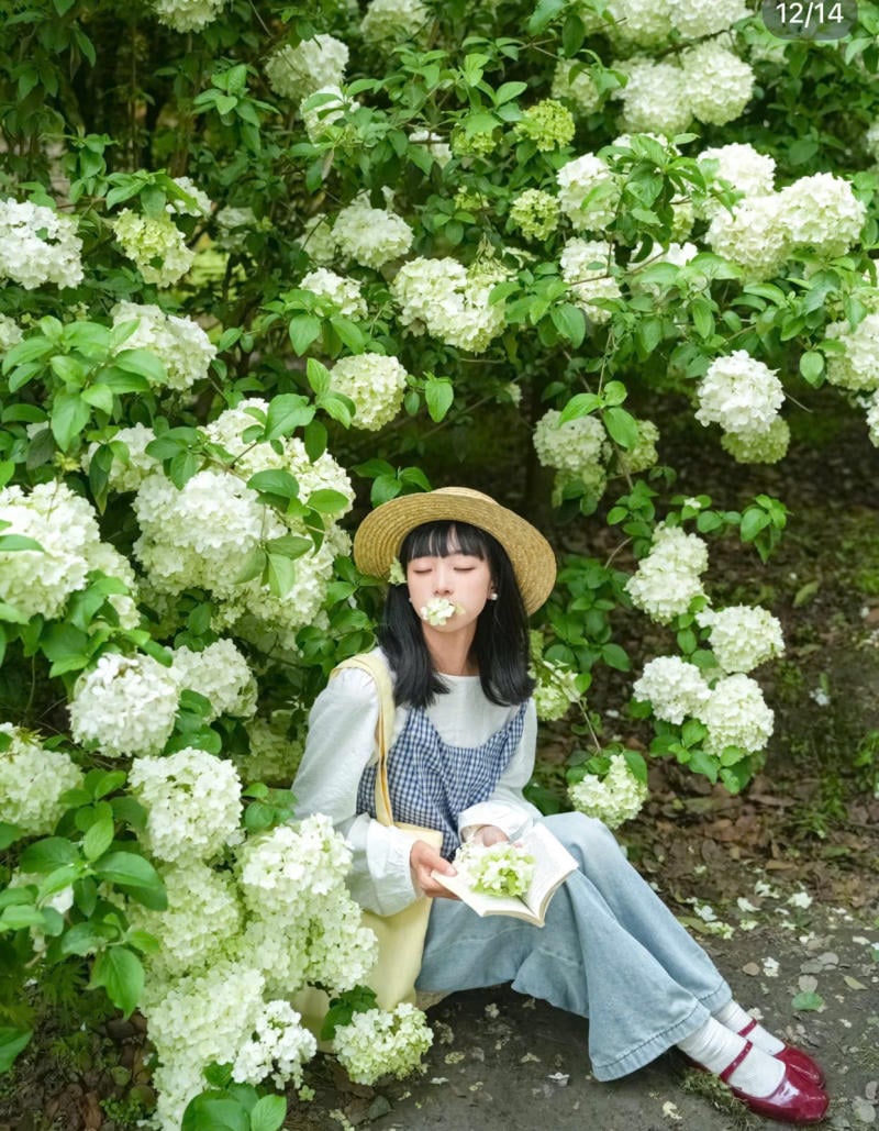 Ngồi xuống bên cạnh một bụi hoa rực rỡ