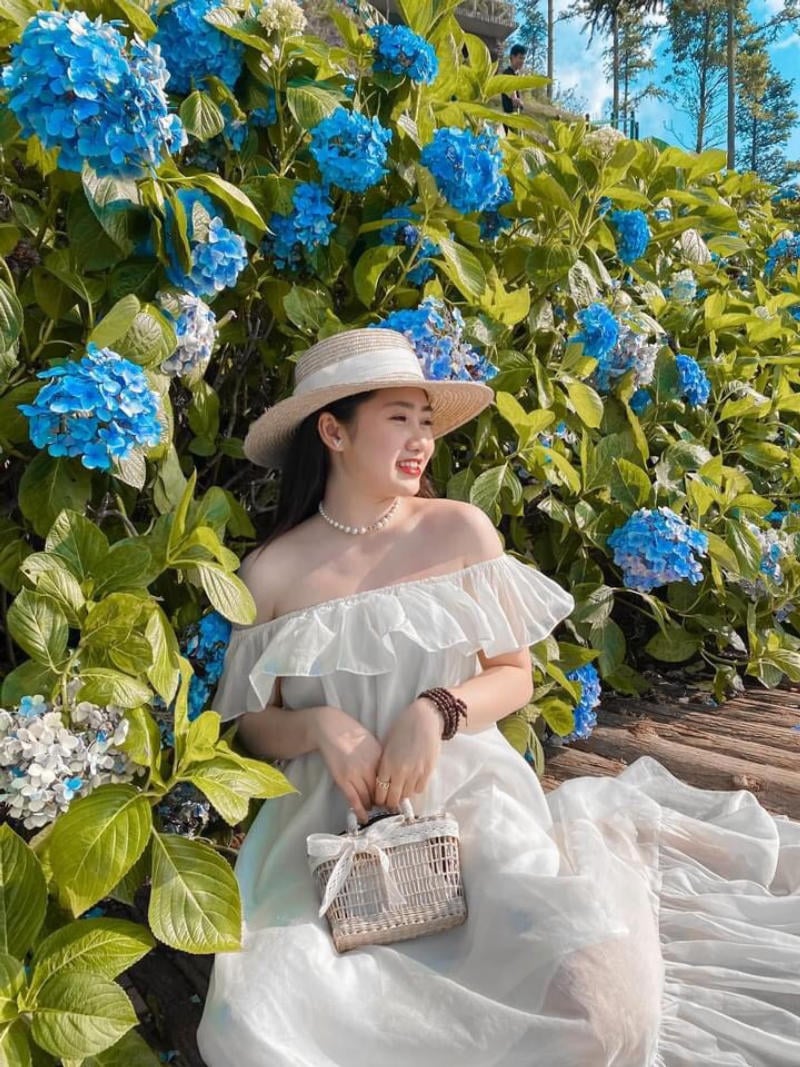 Nằm trên thảm cỏ bên cạnh những đóa hoa