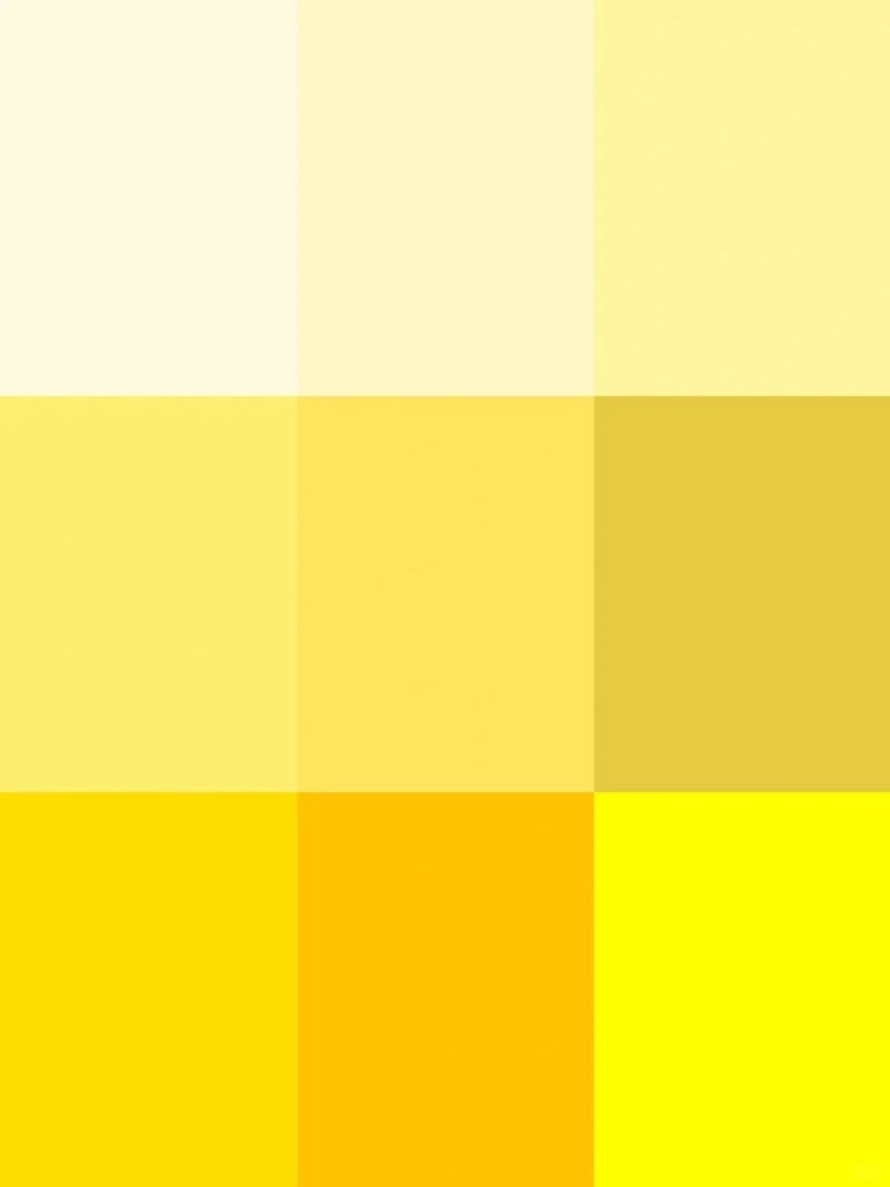 màu vàng hợp với màu gì