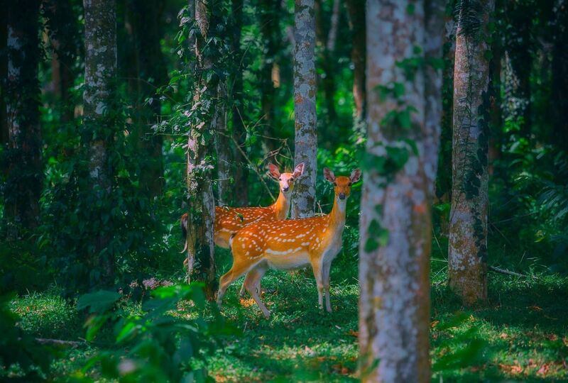 Bản đồ và sơ đồ tham quan các điểm chính