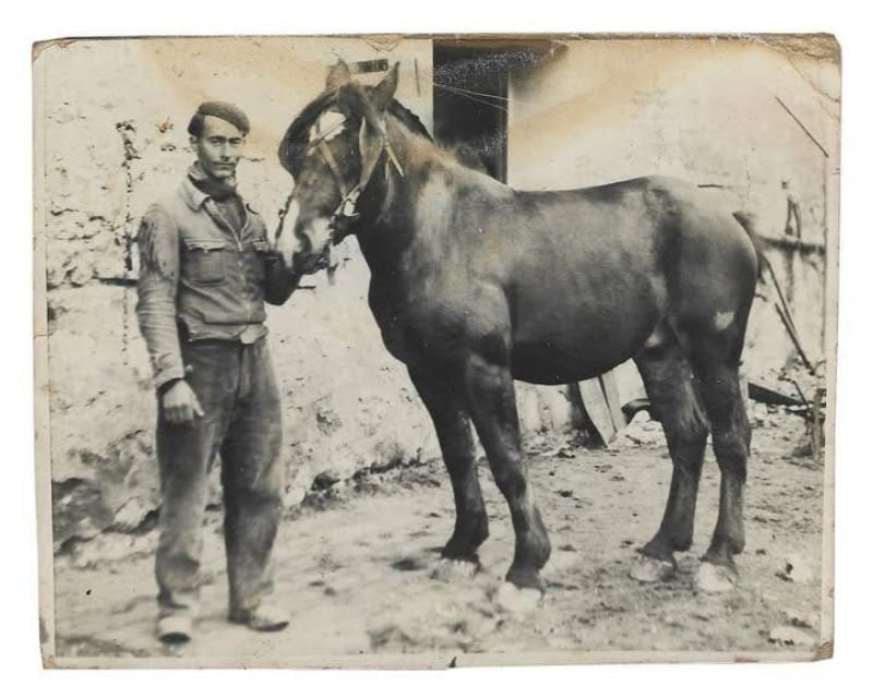 Từ Cung Điện Versailles Đến Sàn Diễn Haute Couture