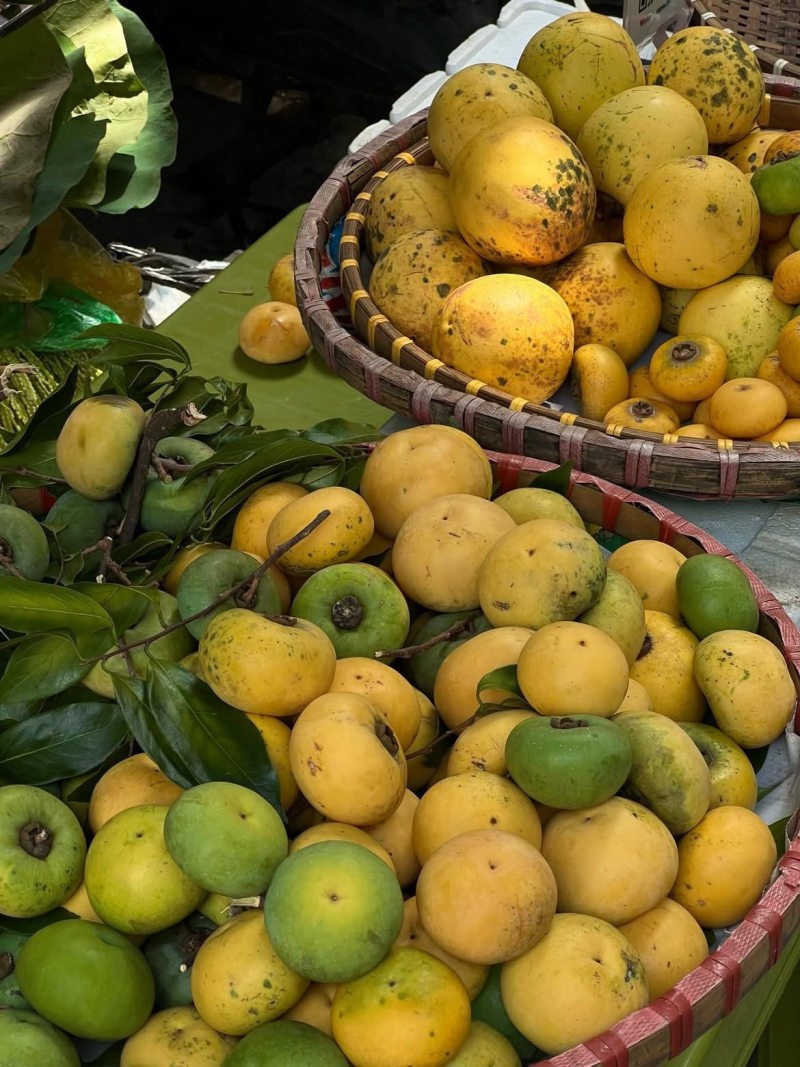 stt hay về mùa thu hà nội