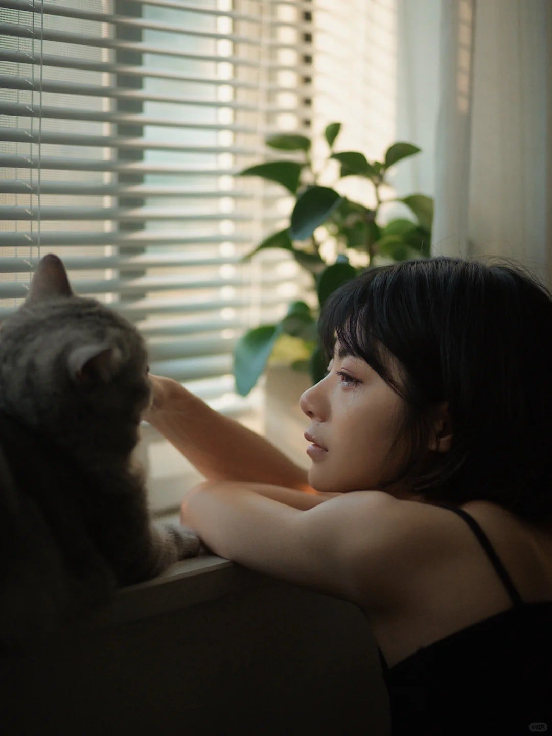 7. Tựa cằm bên cửa sổ cùng thú cưng