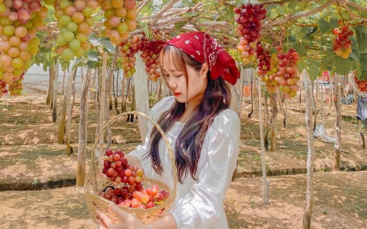 Bí quyết phối màu trang phục để có những bức ảnh