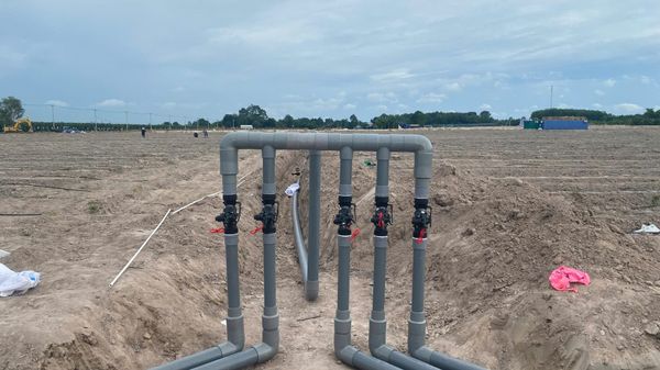 Hệ thống tưới cho cây ớt Năng suất cao