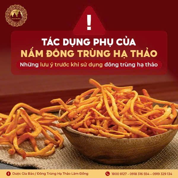 tac dung phu cua nam dong trung ha thao