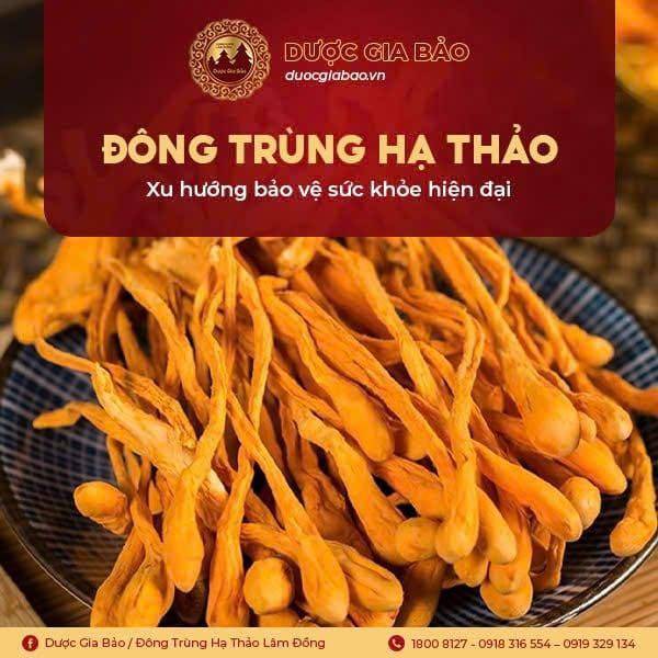binh thuong hoa dong trung ha thao