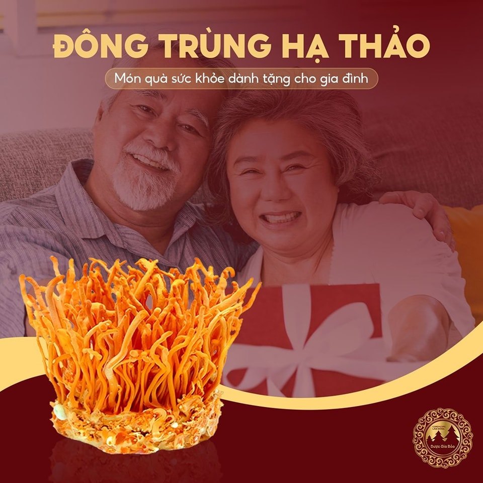 binh thuong hoa dong trung ha thao