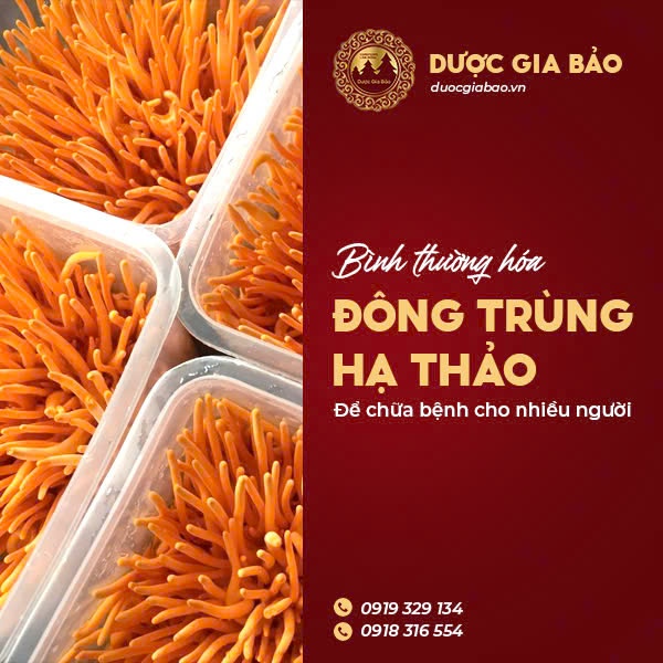 binh thuong hoa dong trung ha thao