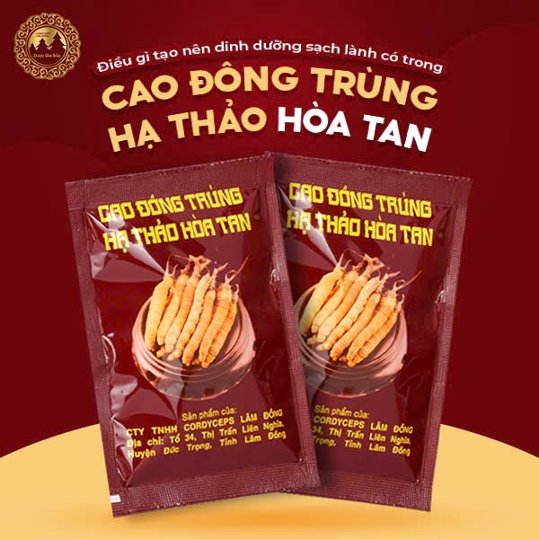 cao dong trung ha thao hoa tan Duoc Gia Bao
