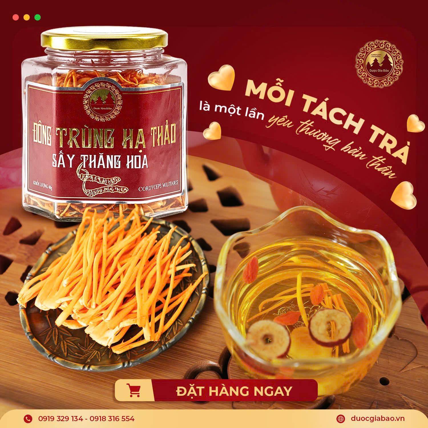 gia nam dong trung ha thao