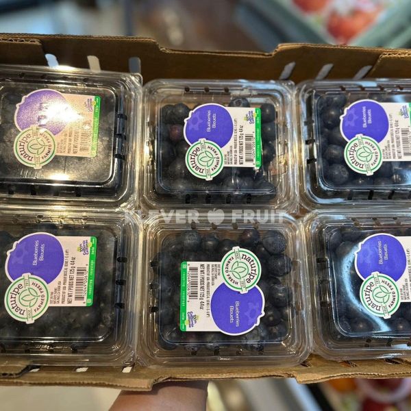 Blueberries Go Big 2026: Klever Fruit Khởi Động Mùa Vụ "Kim Cương Xanh" Mỹ Tại Việt Nam Blueberries Go Big 2026: Klever Fruit Khởi Động Mùa Vụ "Kim Cương Xanh" Mỹ Tại Việt Nam