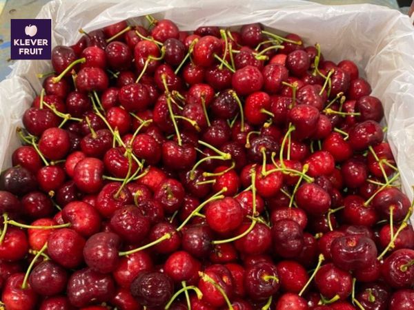 Lợi ích của những trái Cherry Mỹ đối với sức khỏe Những trái Cherry được nhập khẩu chính ngạch bằng đường bay từ Mỹ