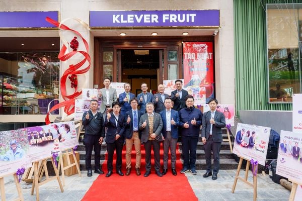 Từ Aomori đến Klever Fruit: Hành trình của niềm tin qua nhiều mùa táo Từ Aomori đến Klever Fruit: Hành trình của niềm tin qua nhiều mùa táo