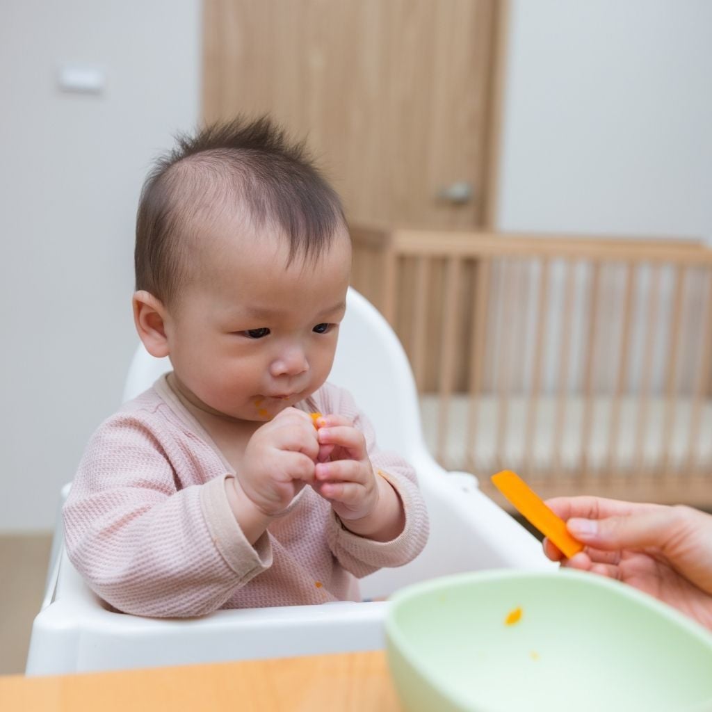 nfcshop - Khi nào nên cho bé ăn dặm