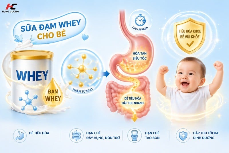 Sữa đạm whey là gì? (Hình ảnh được tạo bởi AI)