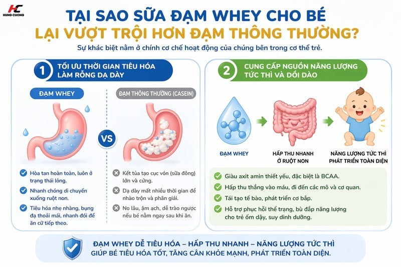 Tại sao sữa đạm Whey vượt trội hơn sữa đạm thường? (Hình ảnh được tạo bởi AI)