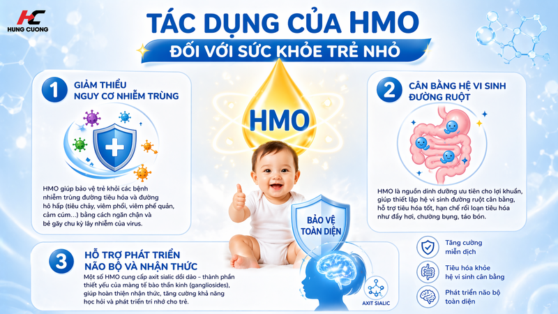 hmo-trong-sua-la-gi-3
