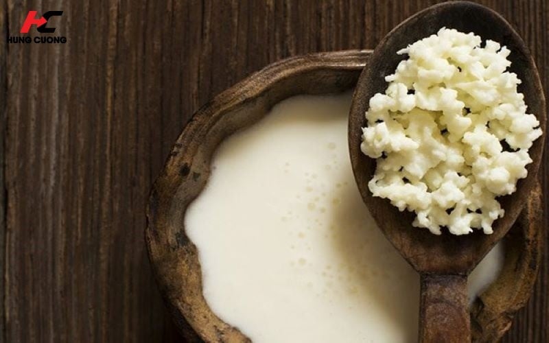 Sữa Kefir mang lượng vi khuẩn có lợi dồi dào và đa chủng loại hơn sữa chua thông thường
