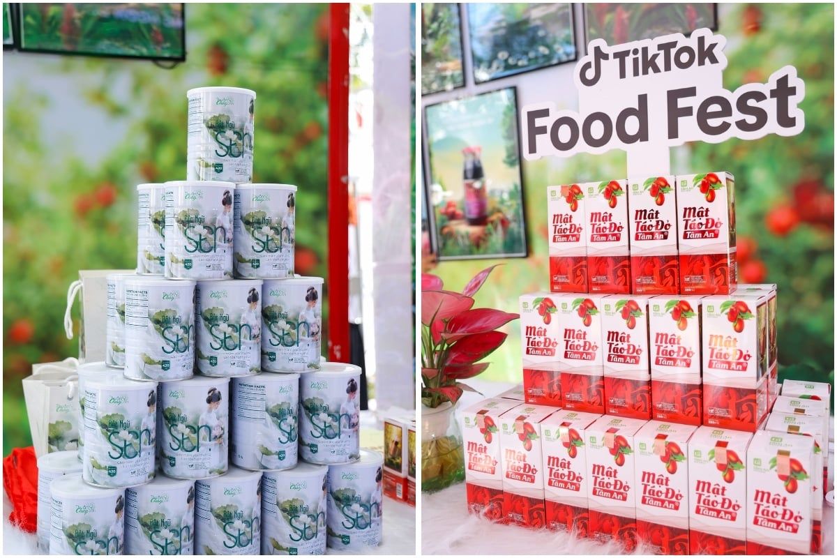 Tiktok Food Fest 2025