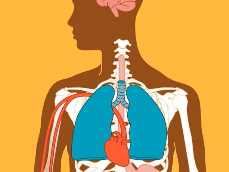 ruou-bia-chuyen-hoa-qua-gan