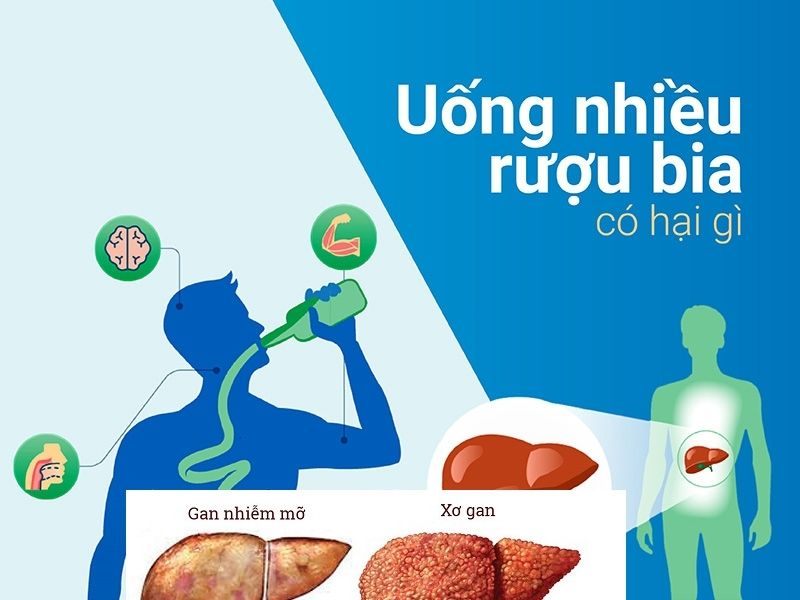 tac-hai-cua-ruou-bia