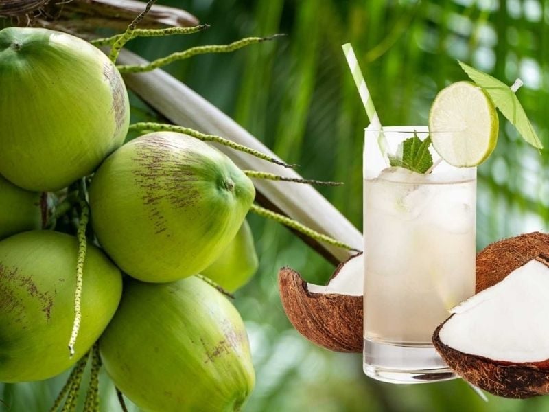 uong-nuoc-dua-dep-da