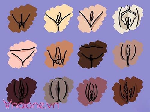 các tình trạng thường gặp ở môi bé là gì